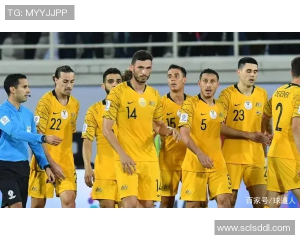 荷兰与澳大利亚足球赛前瞻分析及胜负预测全面解读