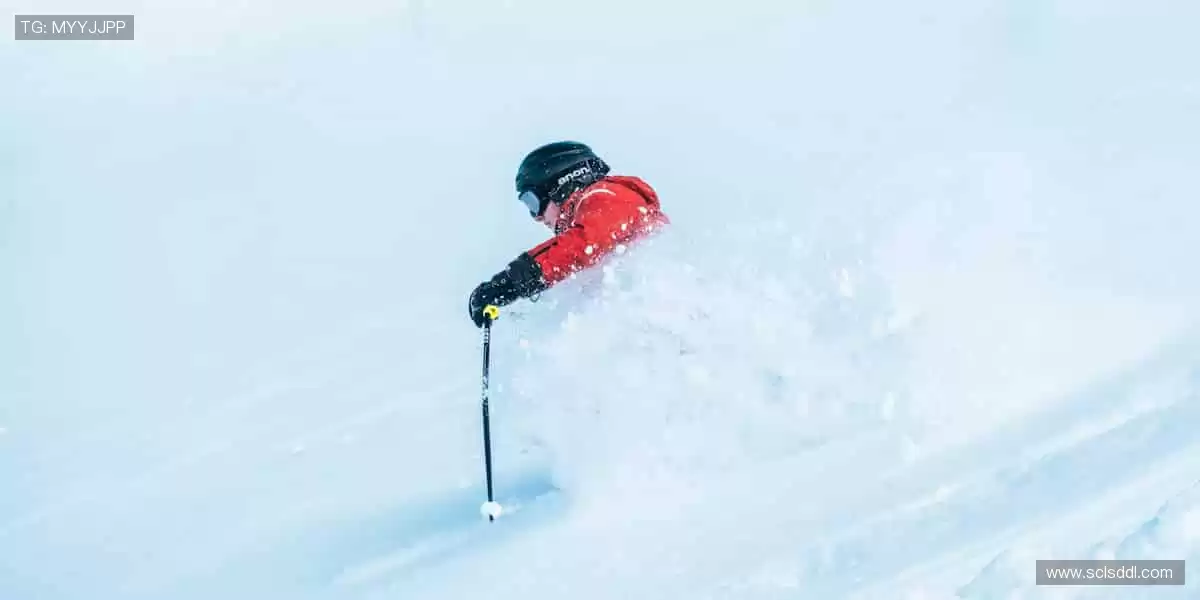 🎯精准数据，深度解析赛事背后的故事！